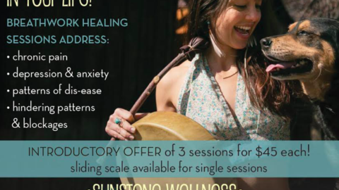 Sun Moon Breathwork