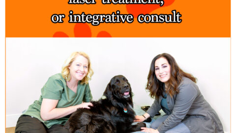 FOUR PAWS WELLNESS CENTER